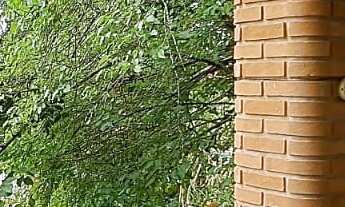 Imagem 5: Vende-se chácara com 05 dorm sendo 02 suítes no condomínio Terras de Santa Rosa - Salto/SP