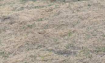 Imagem 2: TERRENO RESIDENCIAL em ITATIBA - SP, TERRAS DE SÃO SEBASTIÃO