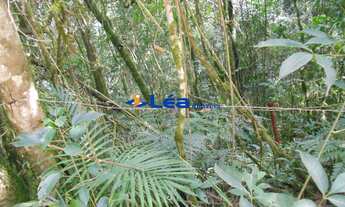 Imagem 3: AREA INDUSTRIAL em BIRITIBA MIRIM - SP, SITIO FAMILIA PRATES