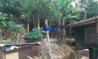 Imagem 3: CHACARA RESIDENCIAL em SUZANO - SP, SERTAOZINHO