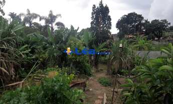 Imagem 5: CHACARA RESIDENCIAL em SUZANO - SP, SERTAOZINHO