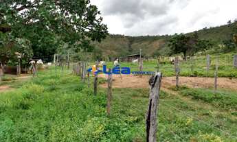 Imagem 3: SITIO RURAL em OLHOS DÁGUA - MG, BACAIUVA / OLHO D AGUA