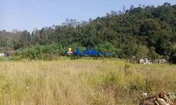 Imagem 6: AREA RESIDENCIAL E COMERCIAL em SUZANO - SP, VILA SÃO PEDRO