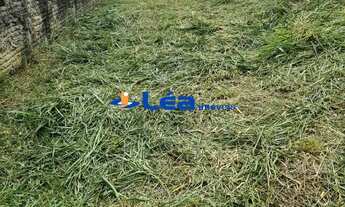 Imagem: TERRENO INDUSTRIAL em MOGI DAS CRUZES