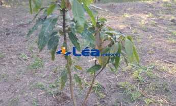 Imagem 4: TERRENO RESIDENCIAL em BIRITIBA-MIRIM - SP, CHACARÁ SÃO LUIZ