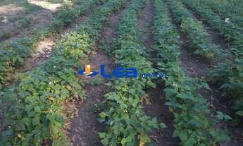 Imagem 5: TERRENO RESIDENCIAL em BIRITIBA-MIRIM - SP, CHACARÁ SÃO LUIZ