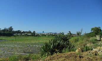 Imagem 6: AREA RURAL em ITAQUAQUECETUBA - SP, PARQUE RECANTO MONICA
