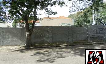 Imagem 4: Terreno a venda no centro medindo 1.150 m² com 25 de frente, rua com vários comércios, bom