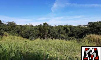 Imagem 7: Vendo terreno residencial ou comercial no Corrupira