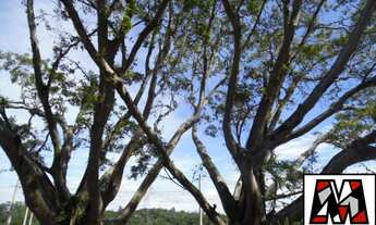 Imagem 3: Lote a venda, condomínio Bella Vitta, medindo 360ms