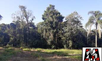 Imagem 4: Sítio a venda em Ivoturucaia, medindo 54.000m2, com área verde, permuta