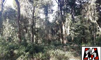 Imagem 6: Sítio a venda em Ivoturucaia, medindo 54.000m2, com área verde, permuta
