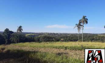 Imagem: Sítio a venda em Ivoturucaia, medindo 54.000m2