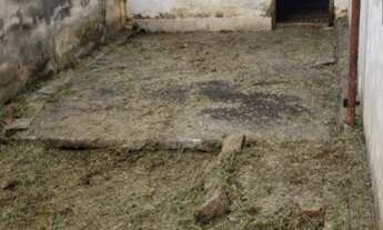 Imagem 5: IMÓVEL REGIÃO CENTRAL, POTIMO PARA COMÉRCIO