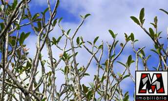 Imagem 7: Chácara a venda Caxambu, várias atividades