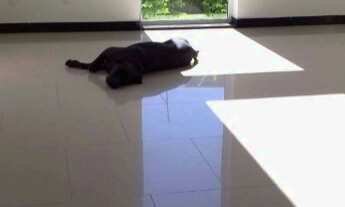 Imagem 6: Casa no litoral de São Sebastião, SP com 4 suítes, permuta