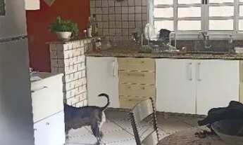 Imagem 4: Vendo Casa térrea, com 02 Dormitórios no Parque Residencial Jundiaí, Jundiaí SP