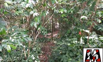 Imagem 6: Terreno com boa topografia com 801m2 no Jardim Carpas, região da Colonia em Jundiaí com ed