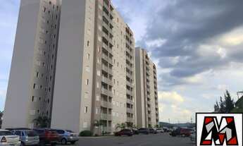 Imagem: MORADA DOS PINHEIROS, SOL DA MANHÃ