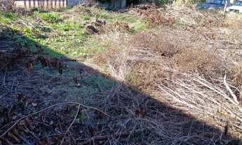 Imagem 5: Terreno plano Caxambu com 2000 m2