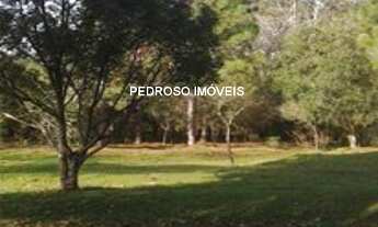 Imagem 4: CHACARA RURAL em Santo Angelo - RS, Fenamilho