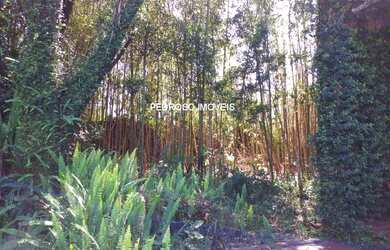 Imagem 6: CASA RESIDENCIAL em SANTO ÂNGELO - RS, CENTRO SUL