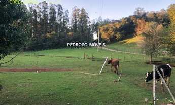 Imagem: CHACARA RESIDENCIAL em SANTO ANGELO - RS