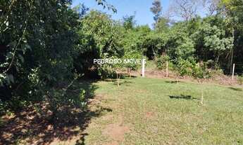 Imagem: SITIO RURAL em SANTO ANGELO - RS, HALLER