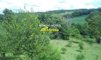 Imagem 2: CHACARA RURAL em SANTO ANGELO - RS, INTERIOR