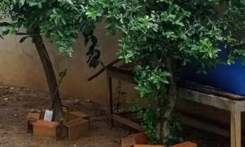 Imagem 5: CASA RESIDENCIAL em PAULÍNIA - SP, São Jose