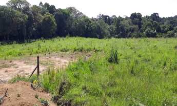 Imagem 5: ÁREAS INDUSTRIAIS ARAUCARIA FN 99864-4995