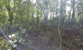 Imagem 7: CHÁCARA 7 MIL M², ESCRITURADA, ESTUDA PROPOSTA DE POSSÍVEL PARCELAMENTO COM PROPRIETÁRIO C