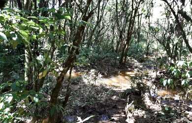 Imagem 4: CHÁCARA 6 MIL M² ESCRITURADA COM CASA CONTENDA 199 MIL FN 99864-4995