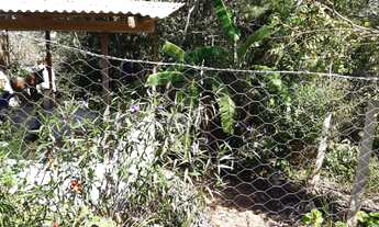 Imagem 6: CHÁCARA 6 MIL M² ESCRITURADA COM CASA CONTENDA 199 MIL FN 99864-4995