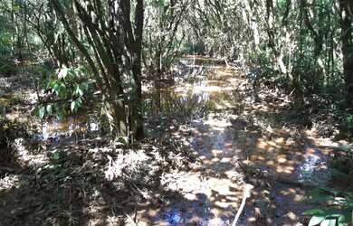 Imagem 7: CHÁCARA 6 MIL M² ESCRITURADA COM CASA CONTENDA 199 MIL FN 99864-4995