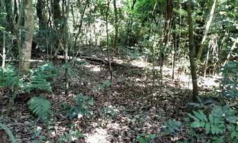 Imagem 5: CHÁCARA 7 MIL M², ESCRITURADA, ESTUDA PROPOSTA DE POSSÍVEL PARCELAMENTO COM PROPRIETÁRIO C