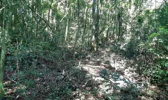 Imagem 3: CHÁCARA 7 MIL M², ESCRITURADA, ESTUDA PROPOSTA DE POSSÍVEL PARCELAMENTO COM PROPRIETÁRIO C