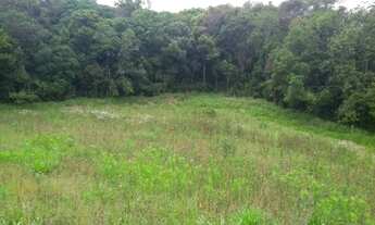 Imagem 2: CHACARA 5 MIL M² ESCRITUDA A 7 KM DE CONTENDA METADE ASFALTO, POR 175.000 FN 99864-4995