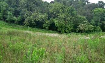 Imagem 5: CHACARA 5 MIL M² ESCRITUDA A 7 KM DE CONTENDA METADE ASFALTO, POR 175.000 FN 99864-4995