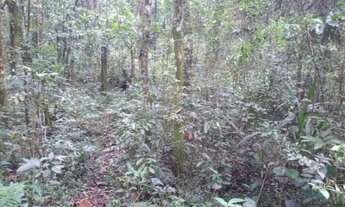 Imagem 7: CHACARA 5 MIL M² ESCRITUDA A 7 KM DE CONTENDA METADE ASFALTO, POR 175.000 FN 99864-4995