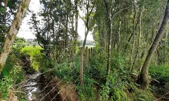 Imagem 4: CHACARA 60 MIL M² ESCRITURADA, PLANTA 1,5 ALQUEIRE FN 99864-4995