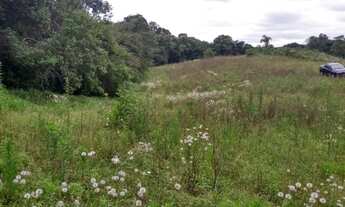 Imagem 3: CHACARA 5 MIL M² ESCRITUDA A 7 KM DE CONTENDA METADE ASFALTO, POR 175.000 FN 99864-4995