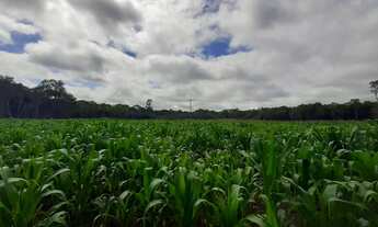 Imagem: CHACARA 60 MIL M² ESCRITURADA, PLANTA 1,5