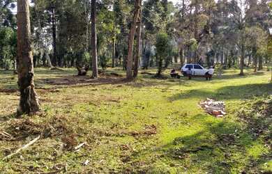 Imagem 6: CHÁCARA DE 3 ALQUEIRES E 5 LITROS, COM CASA, 75.911M² LAPA, DOCUMENTADA POR 460 MIL FN 998