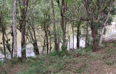 Imagem 3: CHÁCARA COM CASA, 7 MIL M², 500 KM DO ASFALTO, ESCRITURADA , MANDIRITUBA, FN 99864-4995