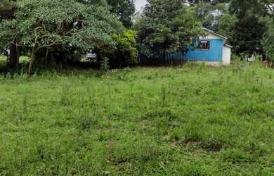 Imagem 6: CHÁCARA COM CASA, 7 MIL M², 500 KM DO ASFALTO, ESCRITURADA , MANDIRITUBA, FN 99864-4995