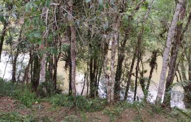 Imagem 5: CHÁCARA COM CASA, 7 MIL M², 500 KM DO ASFALTO, ESCRITURADA , MANDIRITUBA, FN 99864-4995