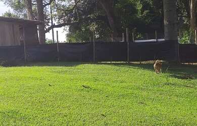 Imagem 2: CHÁCARA 6 MIL M², PRONTA, COM CASA ALVENÁRIA 120 M², ACEITA TROCA, PROX IGREJA SÃO PEDRO