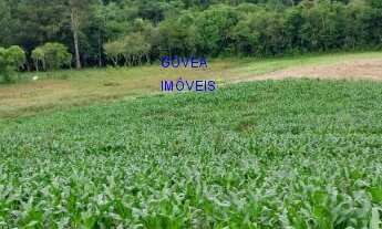 Imagem 7: CHÁCARA 24 MIL M², COM CASA 3 QUARTOS, ESCRITURADA, ÁREA DE PLANTIL, BOSQUE, LAZER, LUZ, E