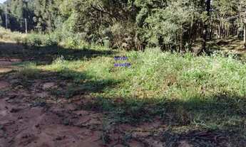 Imagem 3: CHÁCARA 6.711M² COM LUZ E ÁGUA ENCANADA, A 800MT DO ASFALTO, MANDIRITUBA, FN 99864-4995 OU